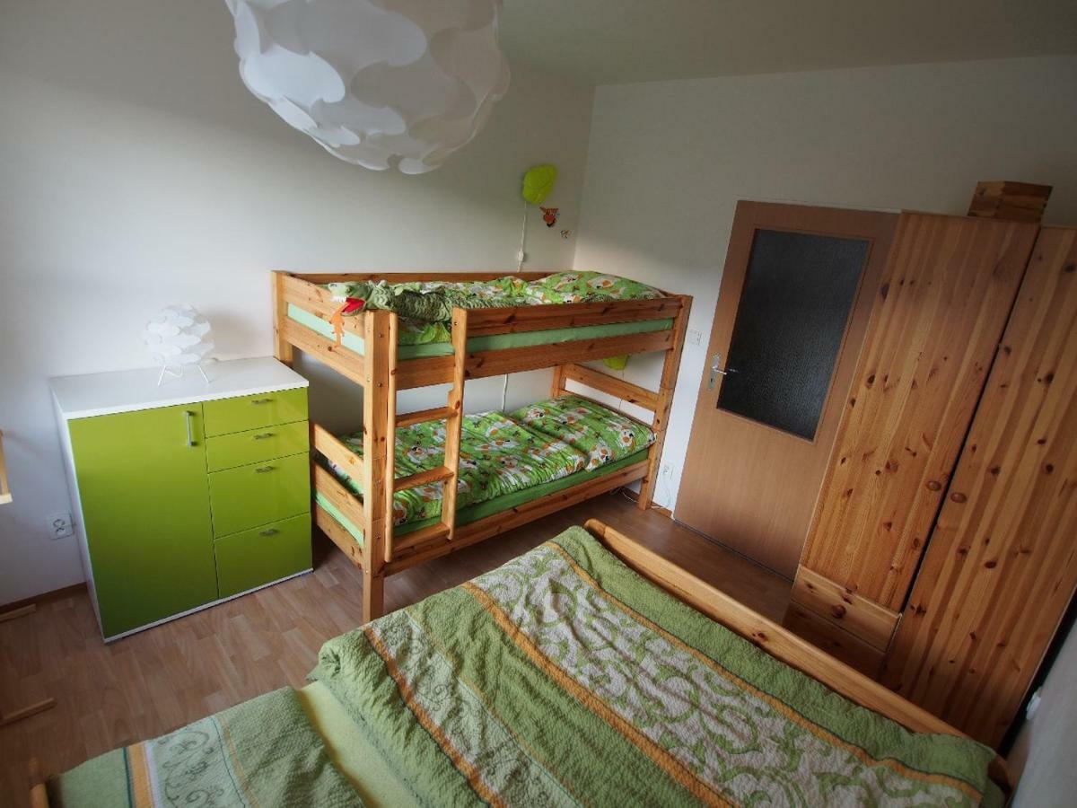 Apartman V Destnem Apartment เดชท์เน ออร์ลิซกี โฮราค ภายนอก รูปภาพ