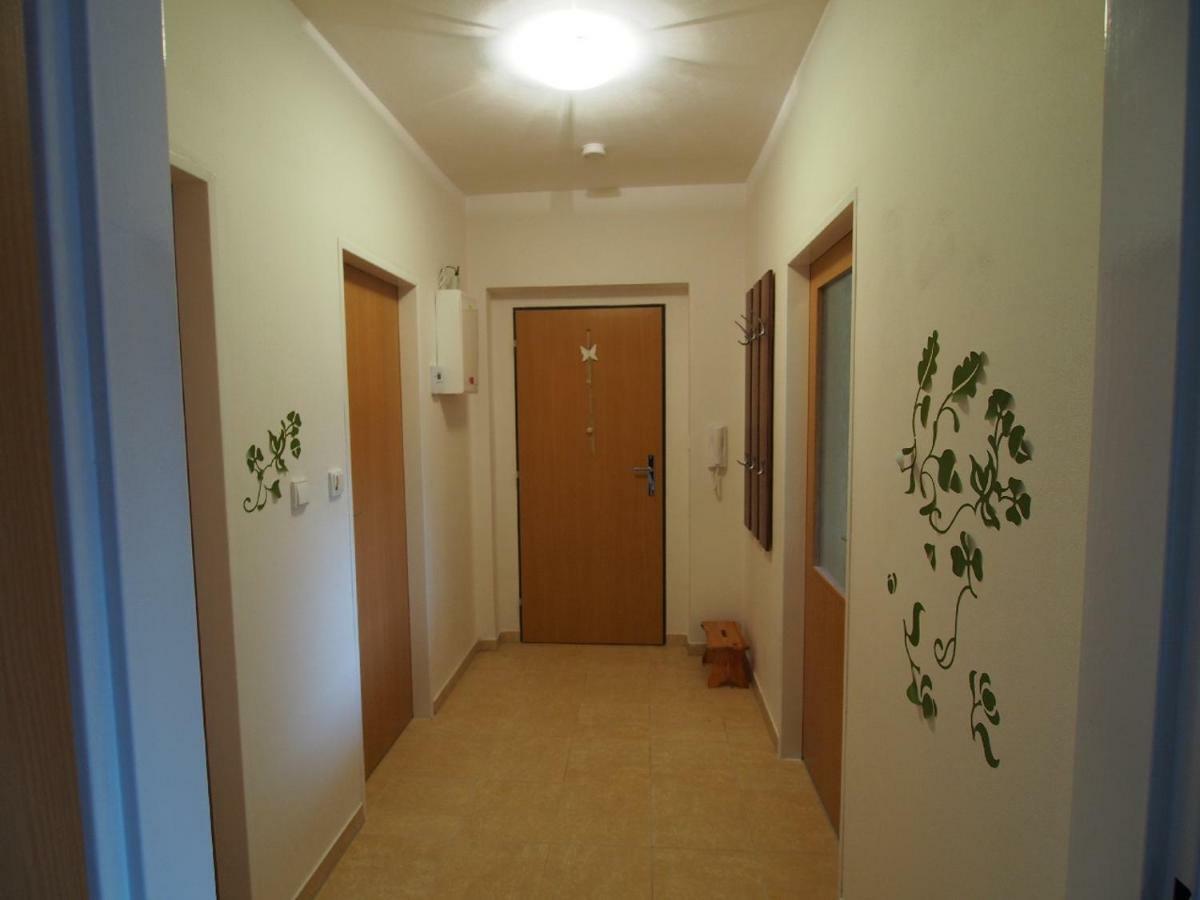 Apartman V Destnem Apartment เดชท์เน ออร์ลิซกี โฮราค ภายนอก รูปภาพ